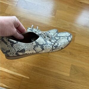 Poppy barley snakeskin the eyelet Oxford